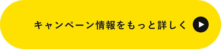 もっと詳しく見る